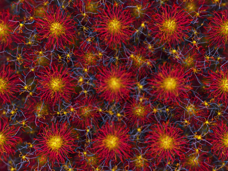 A view of nanoparticles in a crystalline pattern.